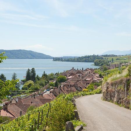 Alpes Et Lac La Neuveville Exterior foto